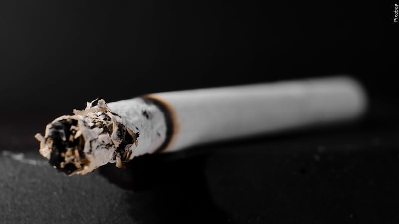 electronic cigarettes effects Acute effects of traditional and electronic cigarettes on palatal blood flow in smokers: A cross-over pilot study electronic cigarettes effects Acute effects of traditional and electronic cigarettes on palatal blood flow in smokers: A cross-over pilot study