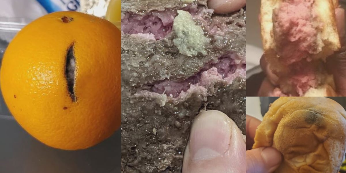 Substandard Food Examples Michigan National Guard, others respond to reports of substandard food ...