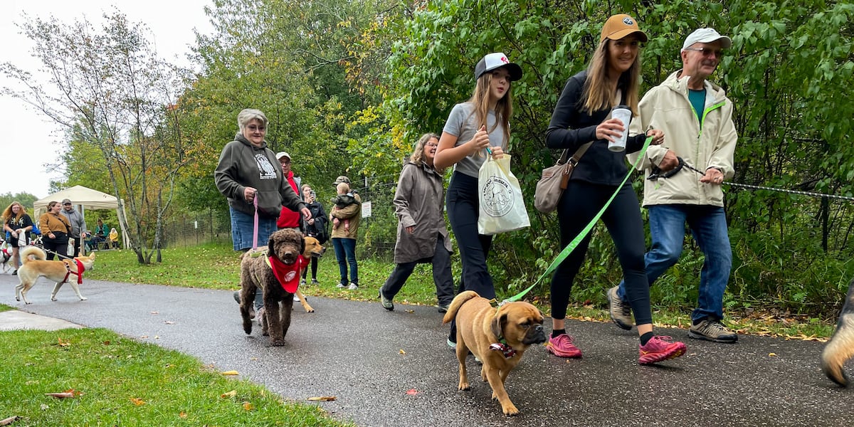 Annual ‘Strut Your Mutt’ raises money for UPAWS