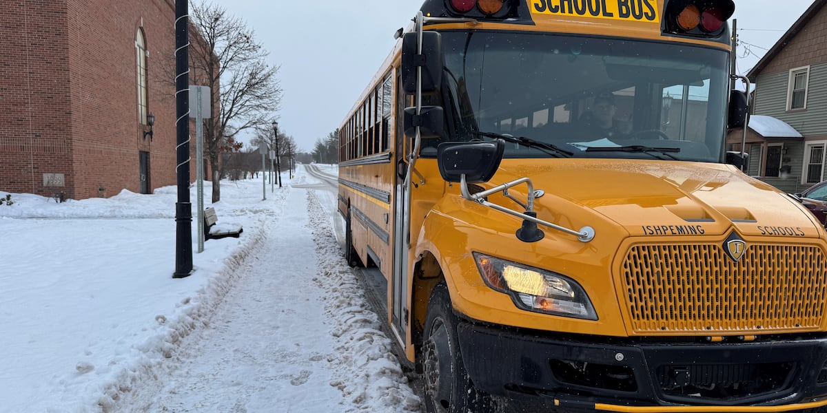 Michigan school buses can now install traffic cameras