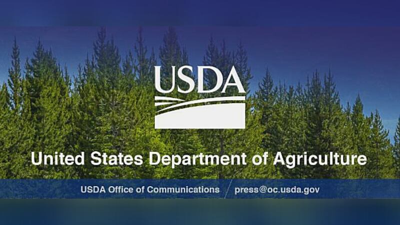USDA forest logo.