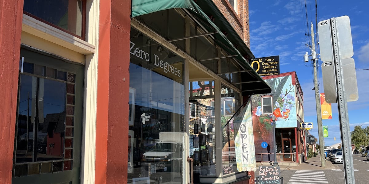 Cameron Wilcox is the Zero Degrees Art Gallery Visiting Artist