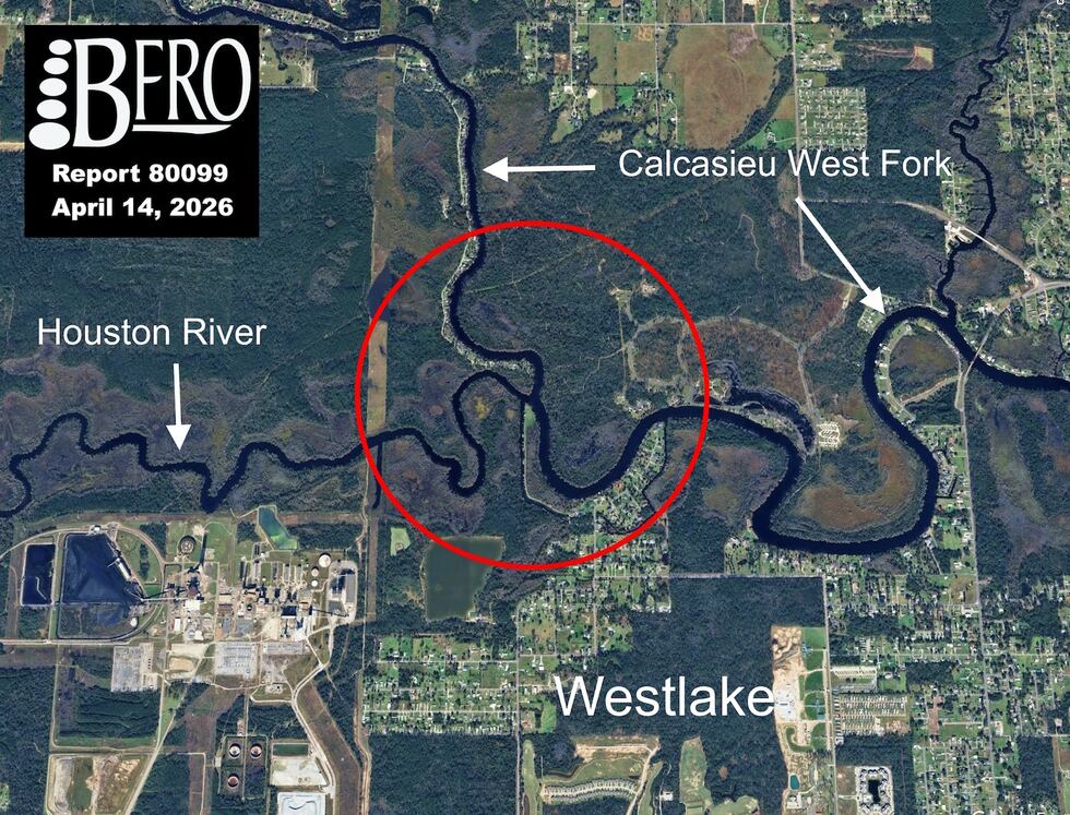 Sasquatch sighting reported in Southwest Louisiana