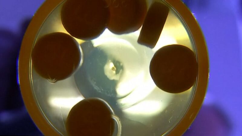 Part III of a three-part series on substance abuse in the Upper Peninsula.