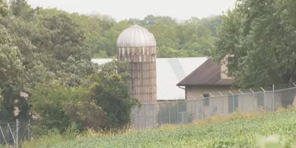 Ridglan Farms expected to cease operations after transfer of remaining dogs, groups say