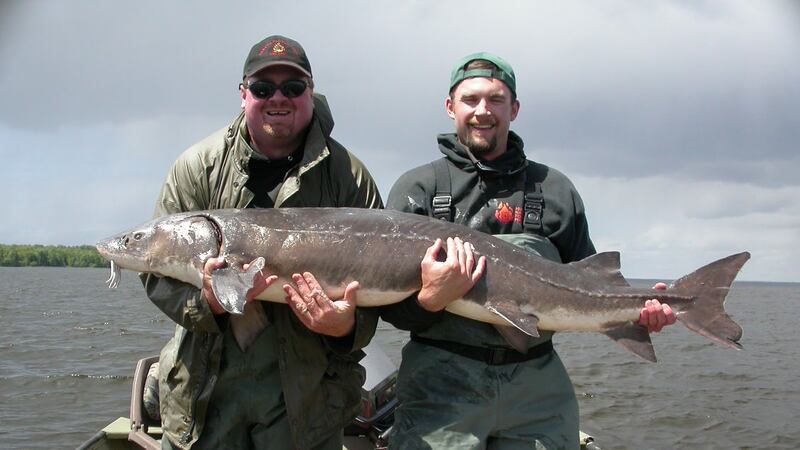 Vern St. John and Jeremy Hubbard hold a sturgeon on Indian Lake.