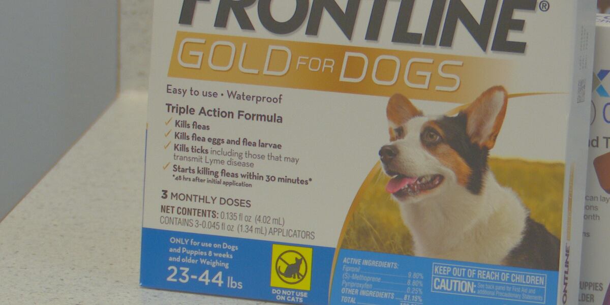 The Marquette Veterinary Clinic said they have multiple new fleas, tick ...