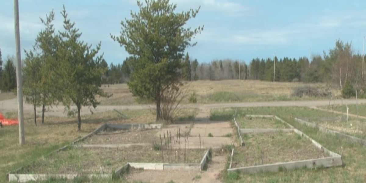 Michigan DNR awards grants for ‘food forest’ at KI Sawyer