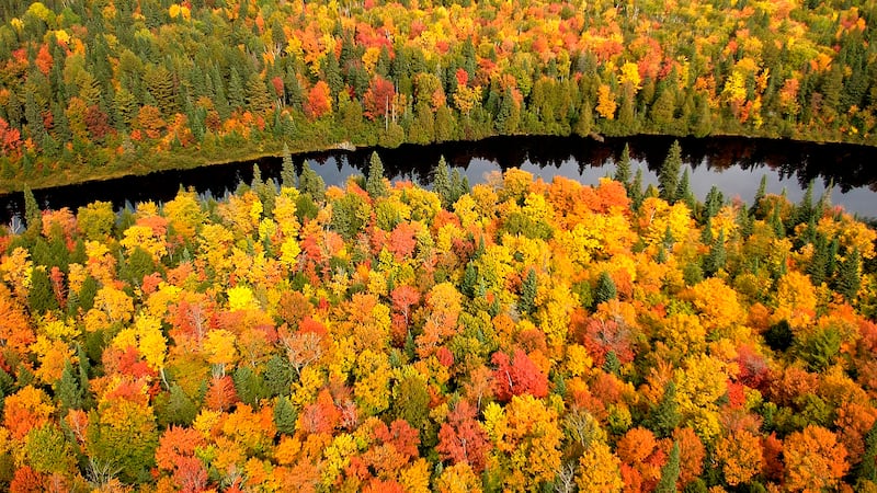 Photo courtesy: Michigan DNR