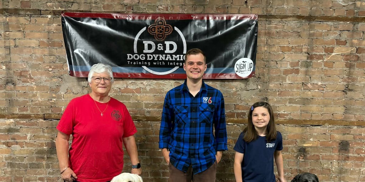 Senior and Junior Handler Training at D&D Dog Dynamics