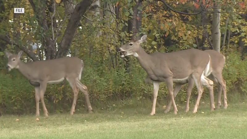 U.P. Deer Advisory Team Chairman Jordan Hoover says he spearheaded the initiative to move to a...