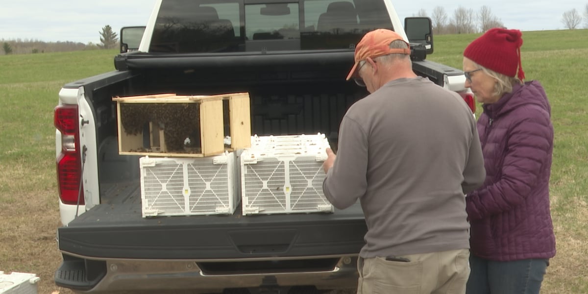On the UPside: Club supports each other, region's growers through passion for pollinators
