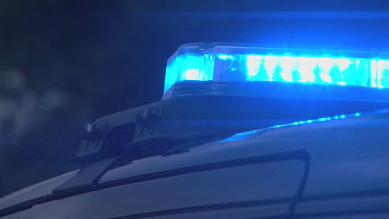 Multiple Police Agencies in Escanaba responded to a call that there was a domestic shooting,...