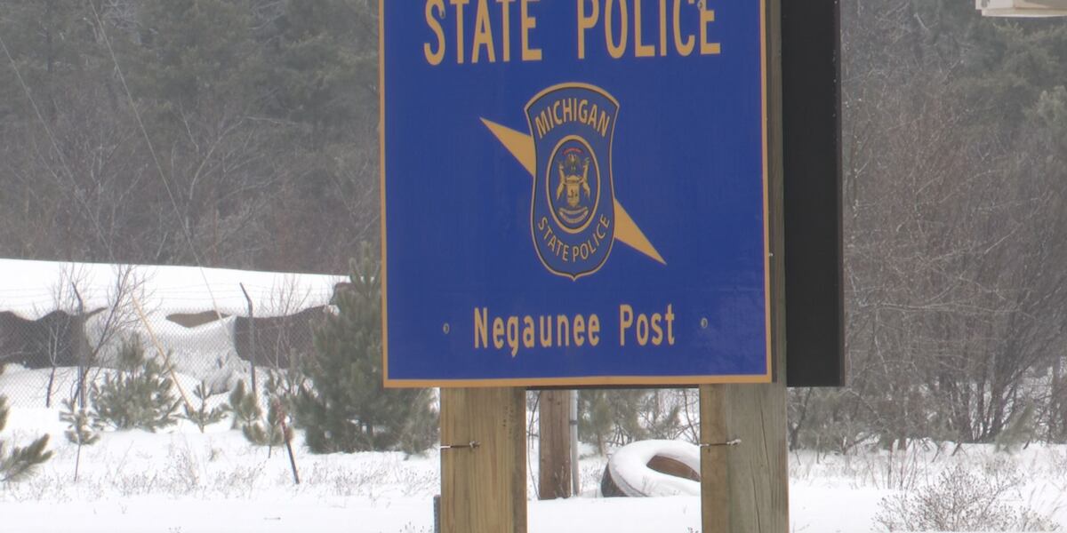 Michigan State Police, FBI warn of increase in sextortion cases