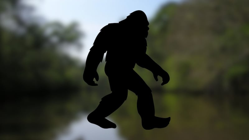FILE -- bigfoot sasquatch image.