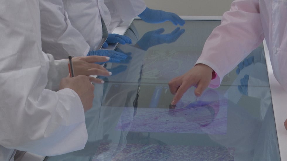They can also use a table-like touchscreen system.