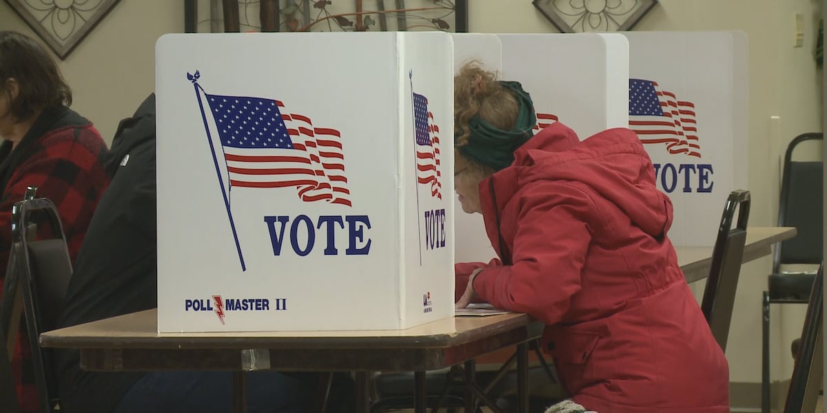 Meet the current candidates for the 2026 Michigan Governor's Race