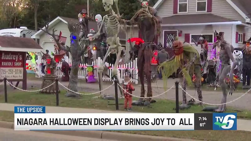 An animatronic Halloween display at the shop has become a tradition for the Wilcox family, who...
