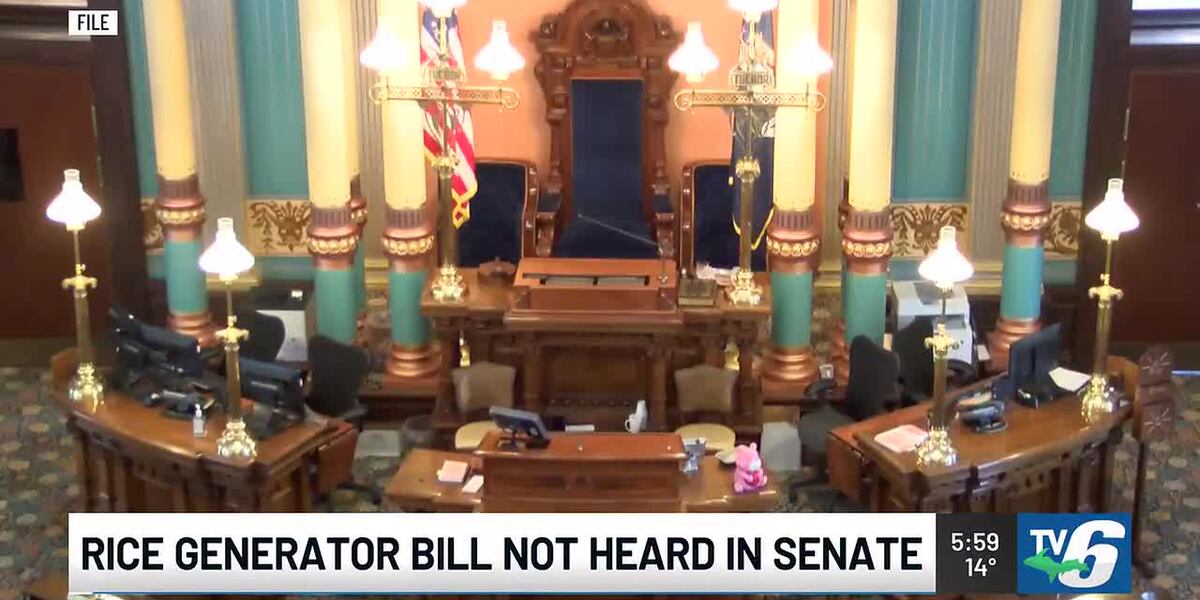 Jill Rice State Senate RICE generator bills not heard in last Senate meeting